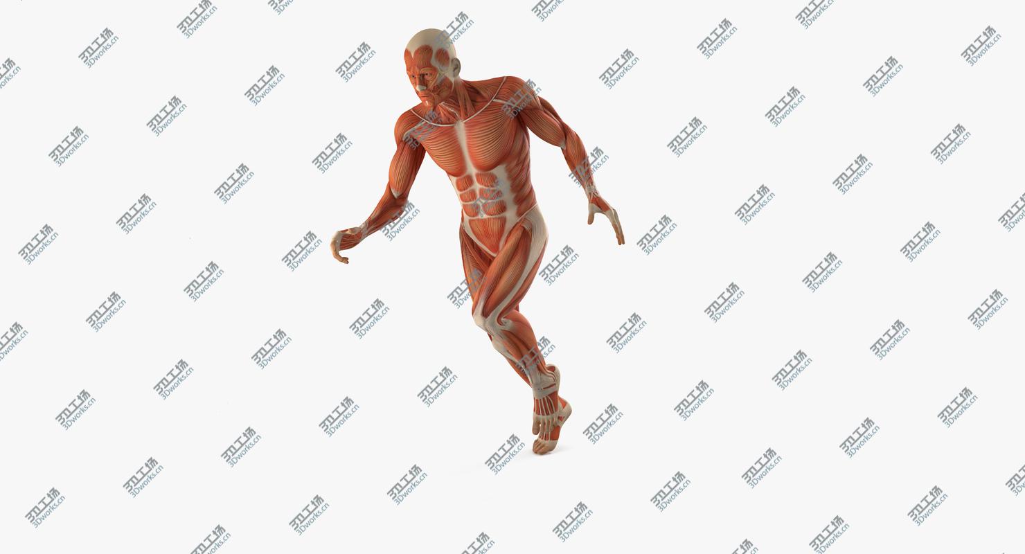 images/goods_img/202105072/3D Running Man Muscles Anatomy System/3.jpg